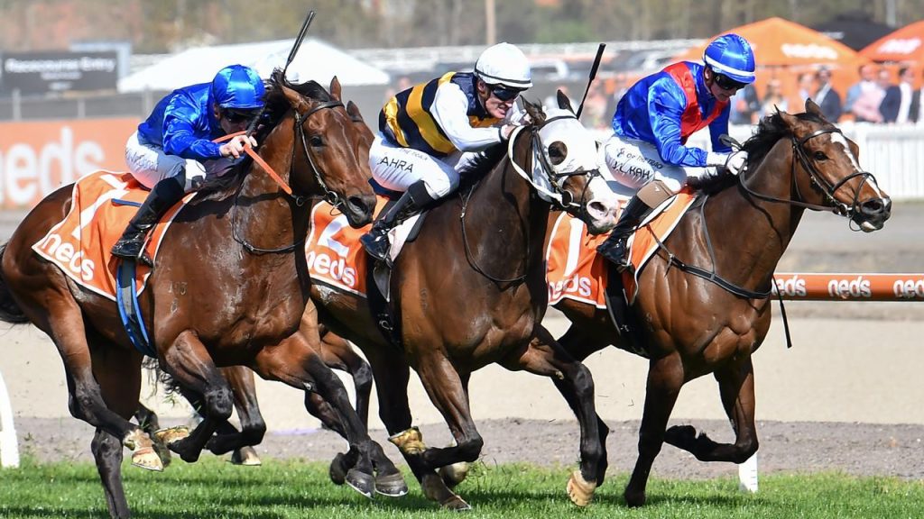 History Of Winners In Cox Plate 2022