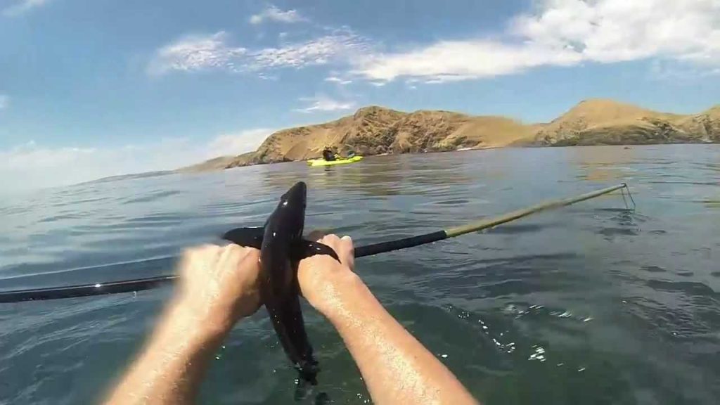 Maximizing Your Spearfishing Experience With Hand Spears In Australia
